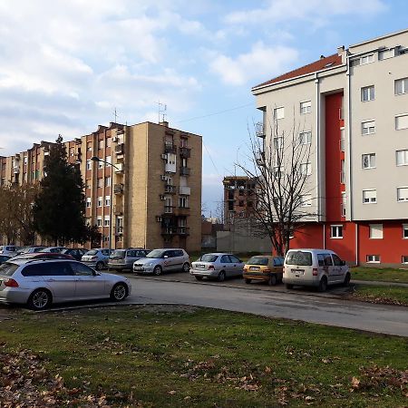 Apartment Azzuro Novi Sad Bagian luar foto