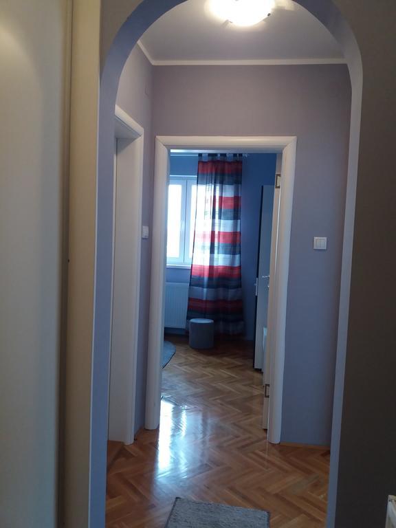 Apartment Azzuro Novi Sad Bagian luar foto