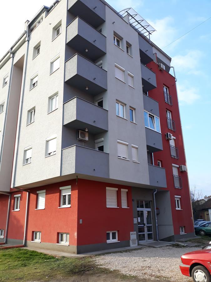 Apartment Azzuro Novi Sad Bagian luar foto